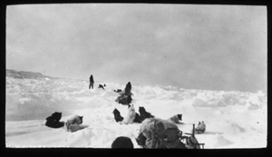 Image of Teams at rest on rough snow (ice)